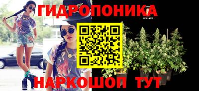 каннабис Будённовск